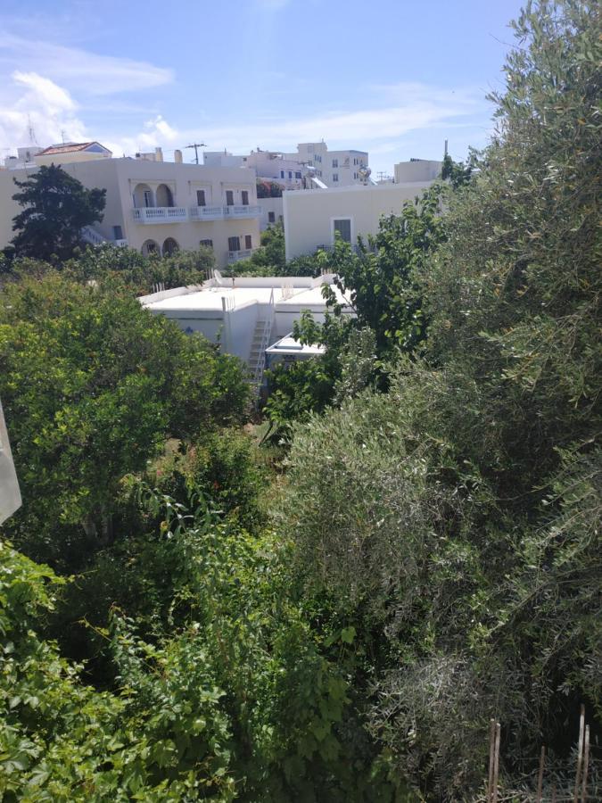 Enalion-Tinos Bed & Breakfast Exterior photo