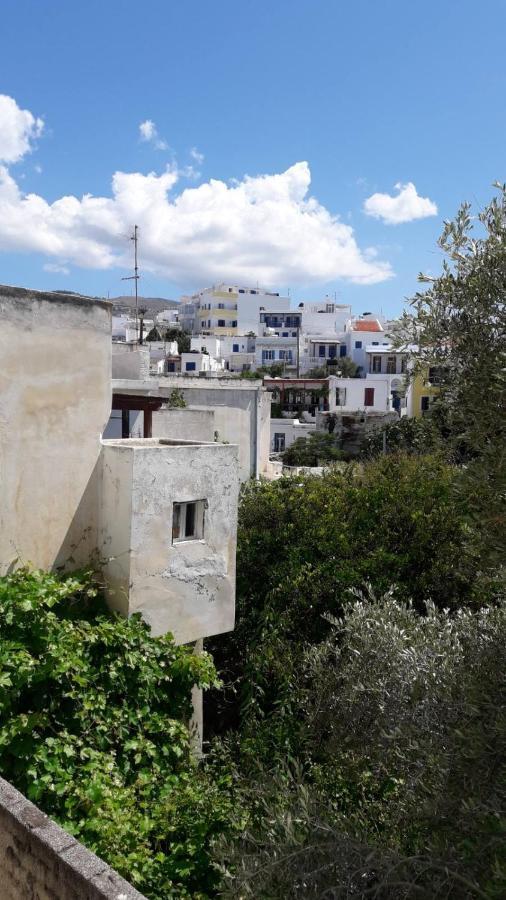Enalion-Tinos Bed & Breakfast Exterior photo